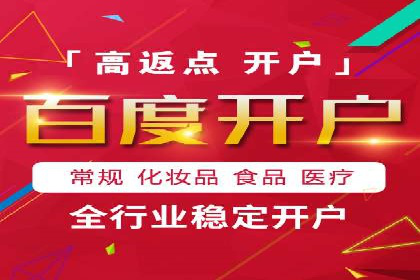 成功SEM服务案例分析报告